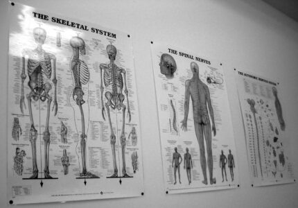 chiropractic