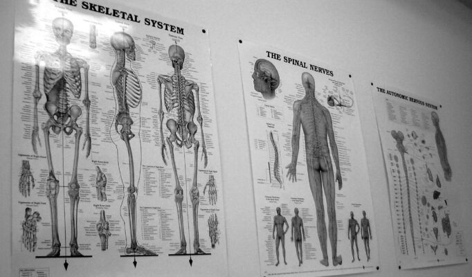 chiropractic